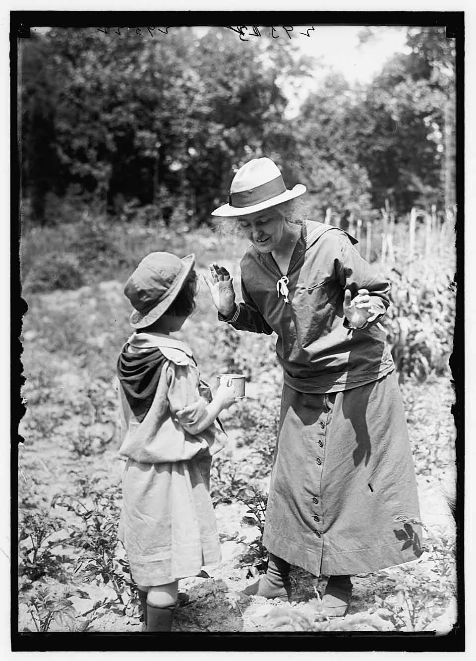 Image description